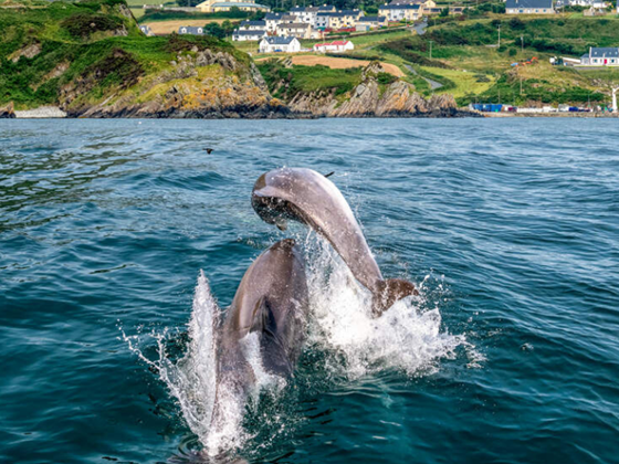Watch the latest 'Moving West' video as the focus shifts to Donegal